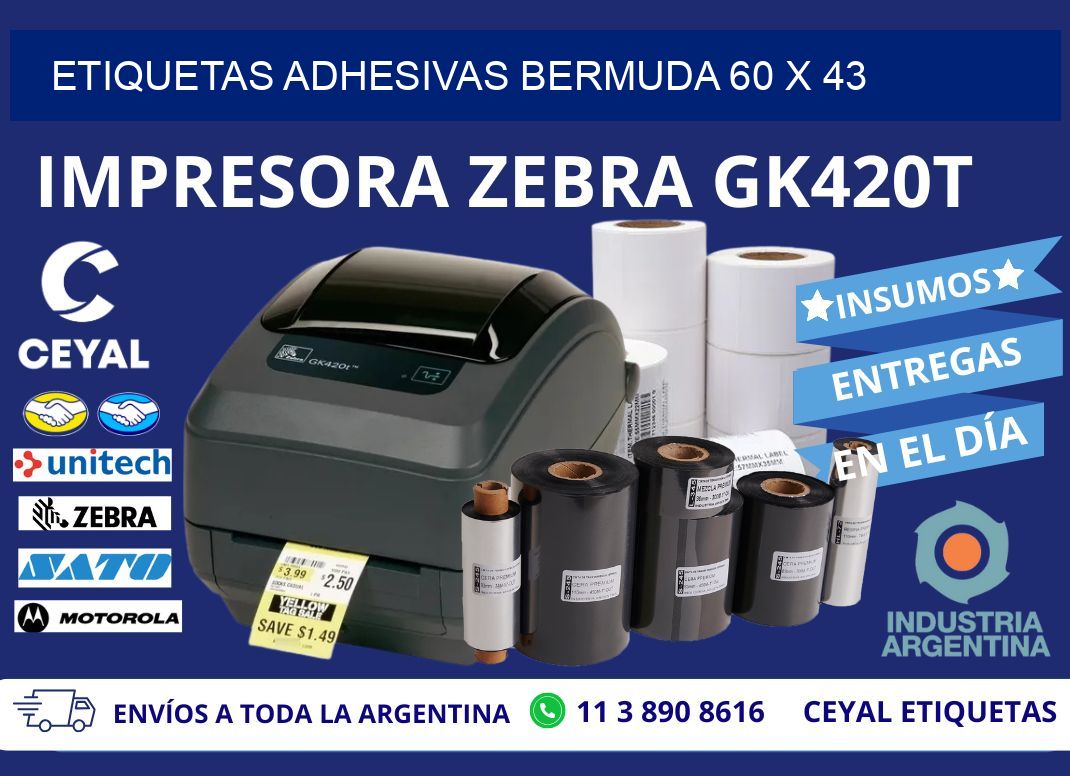 ETIQUETAS ADHESIVAS BERMUDA 60 x 43