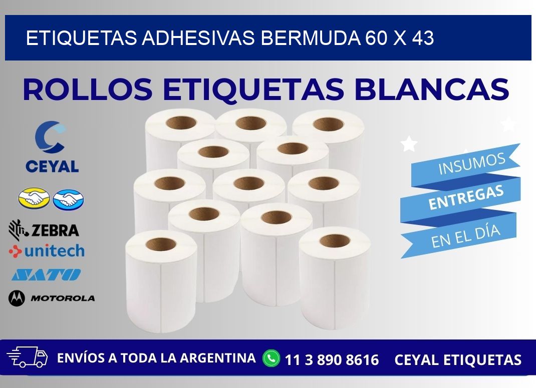 ETIQUETAS ADHESIVAS BERMUDA 60 x 43