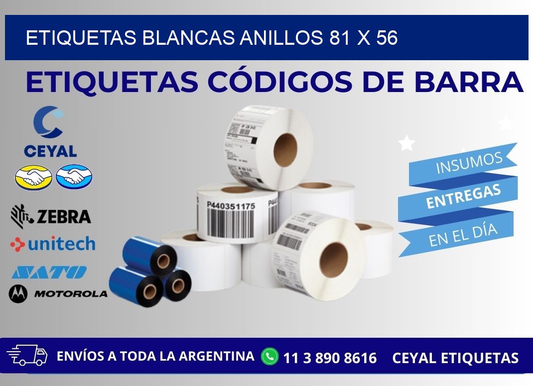 ETIQUETAS BLANCAS ANILLOS 81 x 56