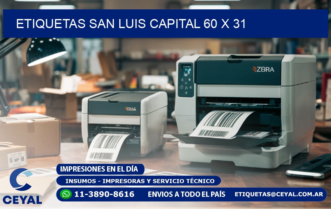 Etiquetas San Luis Capital 60 x 31