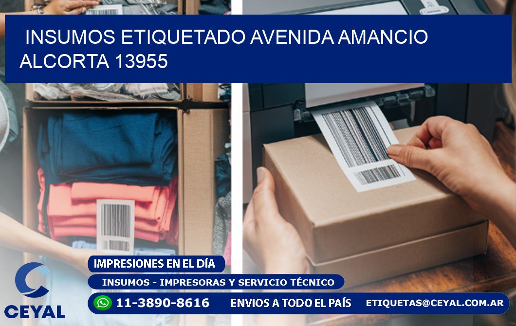 INSUMOS ETIQUETADO Avenida Amancio Alcorta 13955