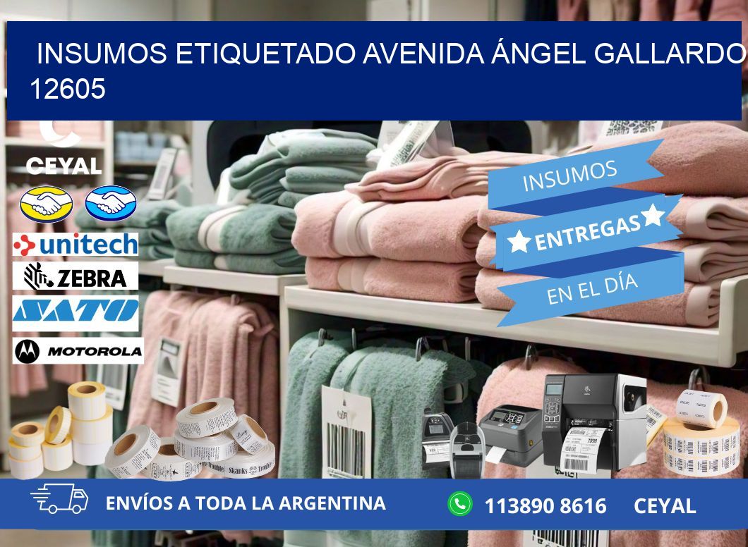 INSUMOS ETIQUETADO Avenida Ángel Gallardo 12605