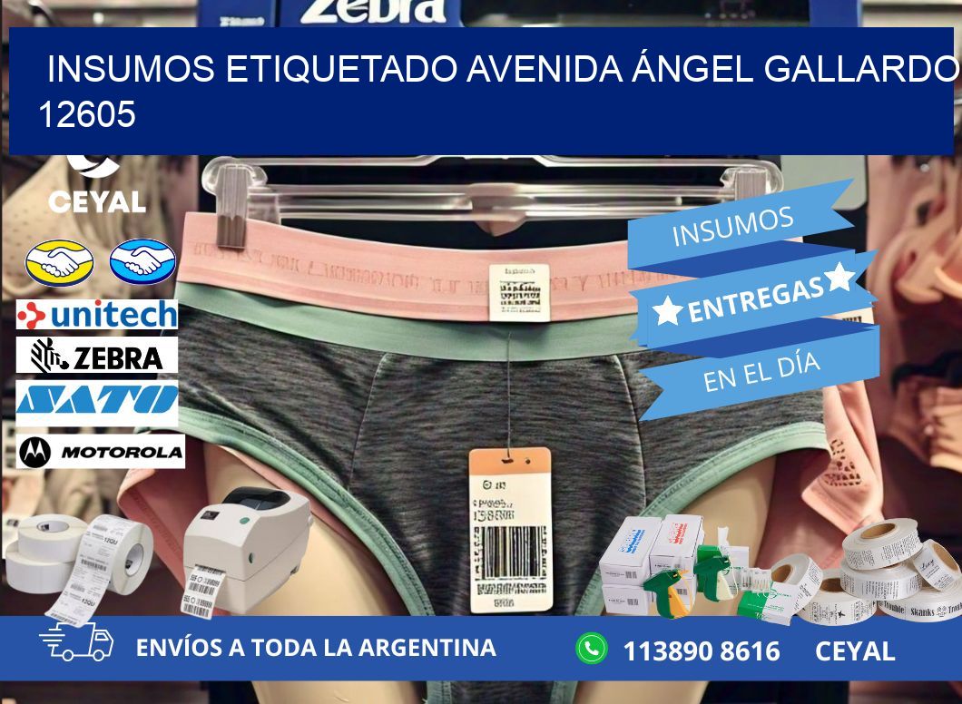 INSUMOS ETIQUETADO Avenida Ángel Gallardo 12605