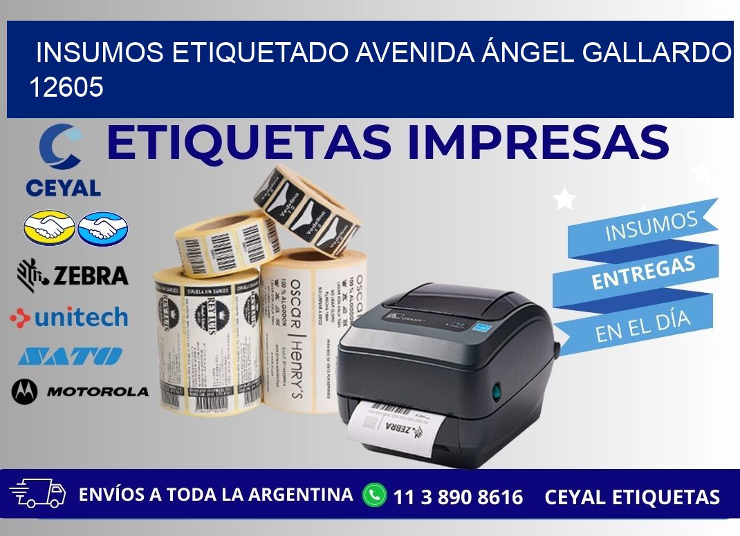 INSUMOS ETIQUETADO Avenida Ángel Gallardo 12605