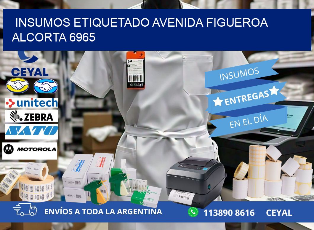INSUMOS ETIQUETADO Avenida Figueroa Alcorta 6965