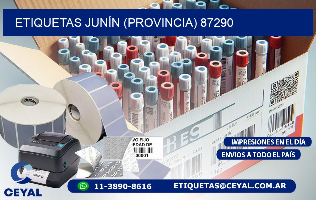 ETIQUETAS JUNÍN (PROVINCIA) 87290