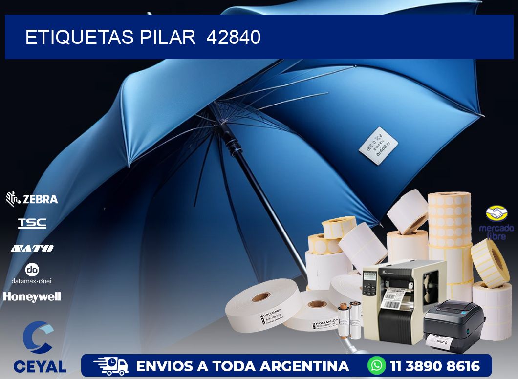 ETIQUETAS PILAR  42840