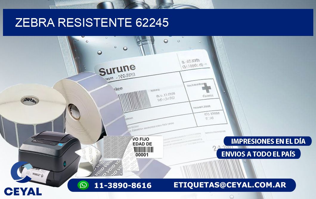 ZEBRA RESISTENTE 62245