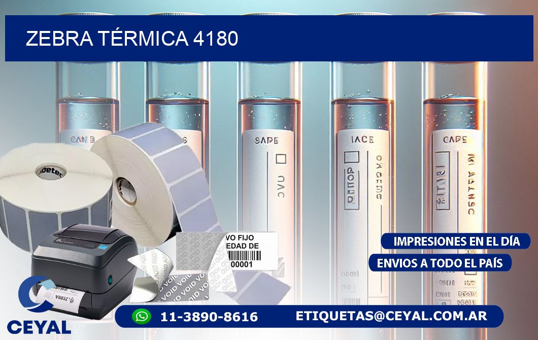 ZEBRA TÉRMICA 4180