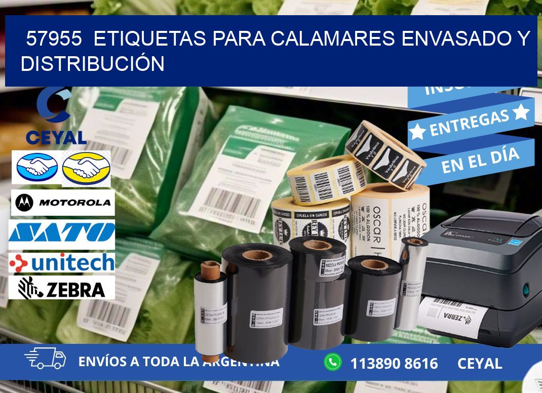 57955  ETIQUETAS PARA CALAMARES ENVASADO Y DISTRIBUCIÓN