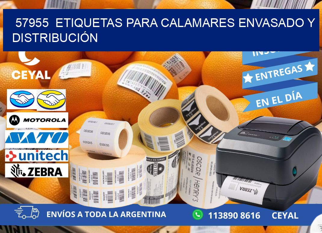 57955  ETIQUETAS PARA CALAMARES ENVASADO Y DISTRIBUCIÓN