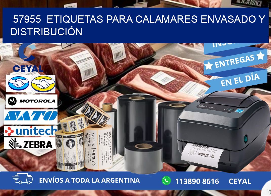 57955  ETIQUETAS PARA CALAMARES ENVASADO Y DISTRIBUCIÓN
