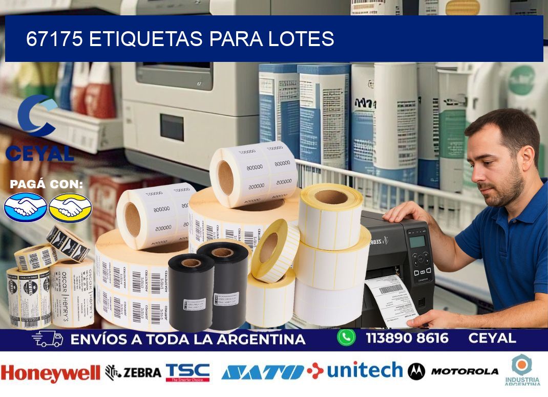 67175 ETIQUETAS PARA LOTES