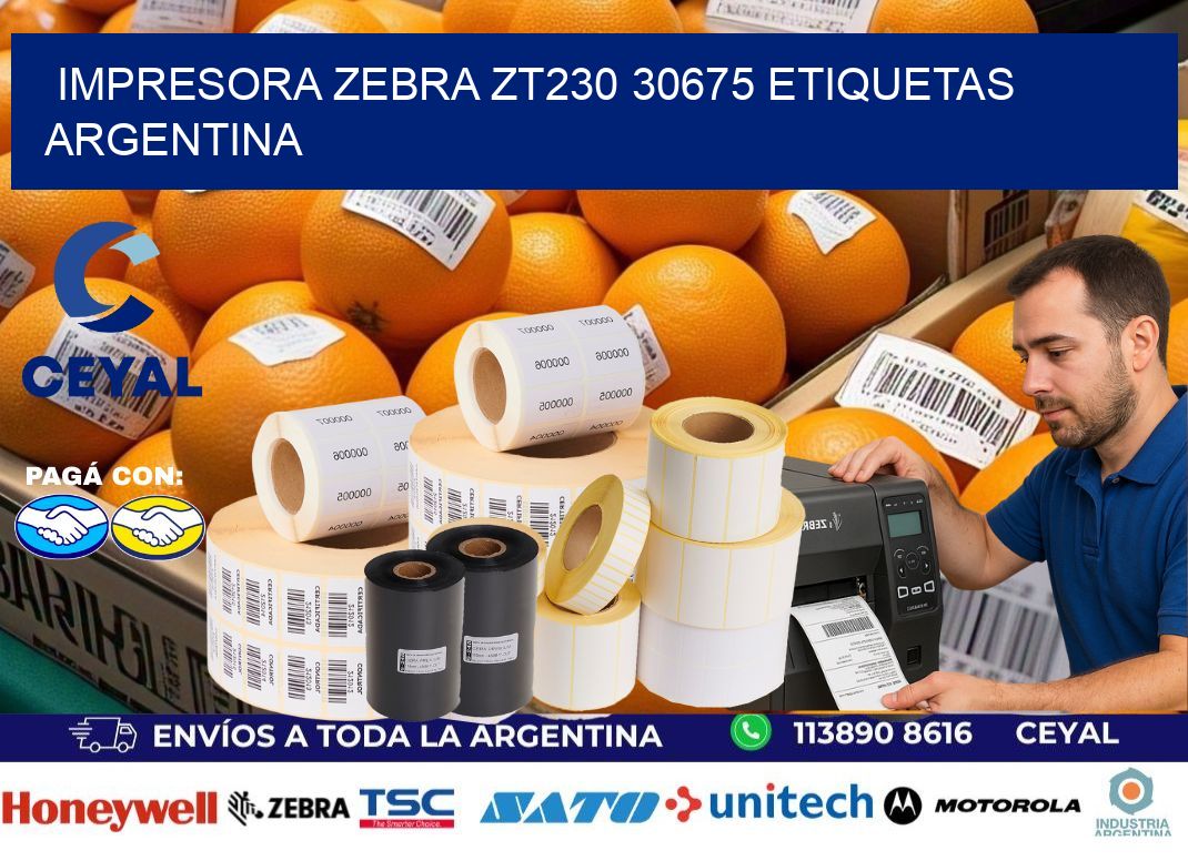 Impresora zebra zt230 30675 etiquetas argentina
