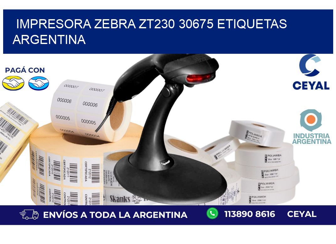 Impresora zebra zt230 30675 etiquetas argentina
