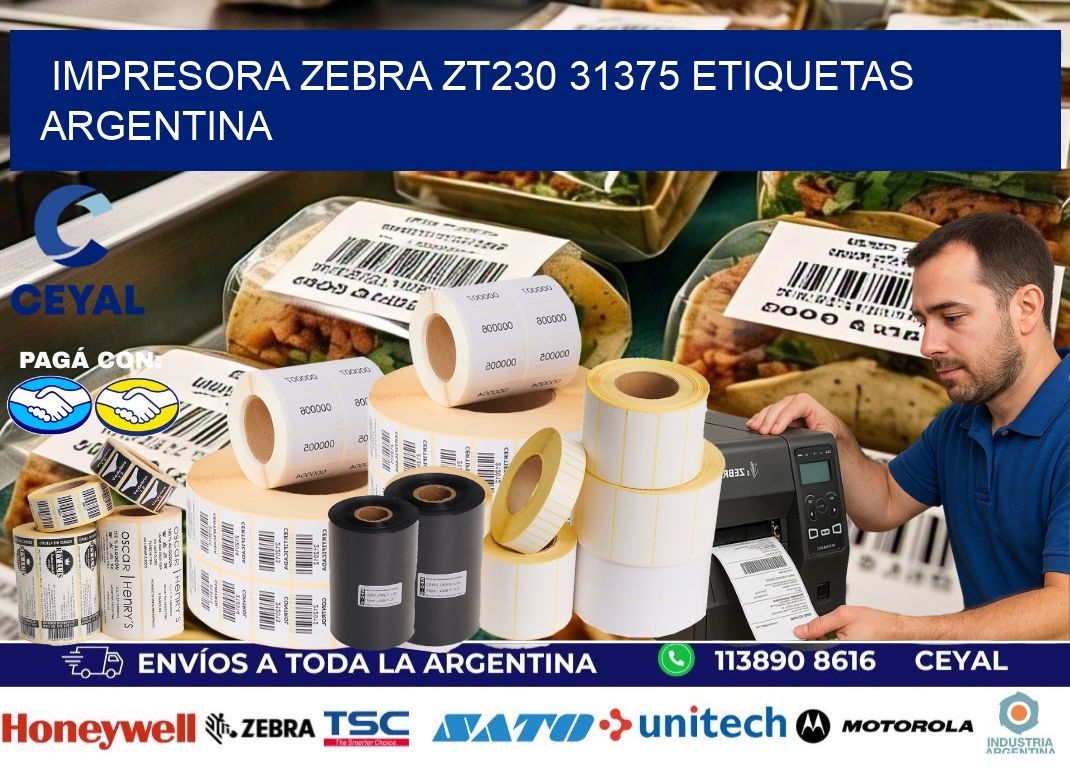Impresora zebra zt230 31375 etiquetas argentina