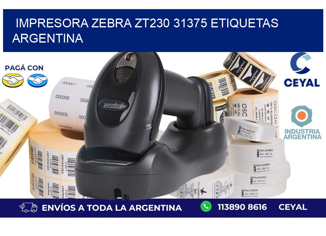 Impresora zebra zt230 31375 etiquetas argentina