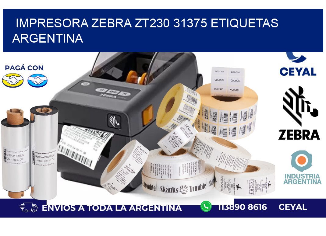 Impresora zebra zt230 31375 etiquetas argentina