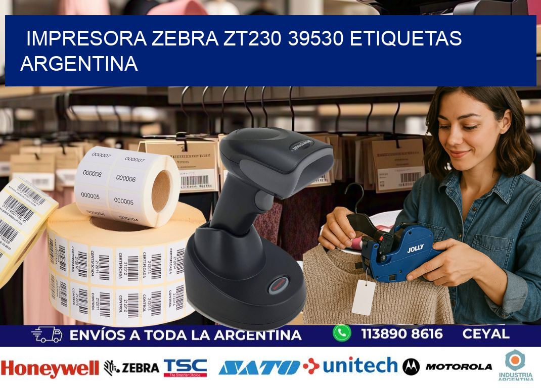 Impresora zebra zt230 39530 etiquetas argentina