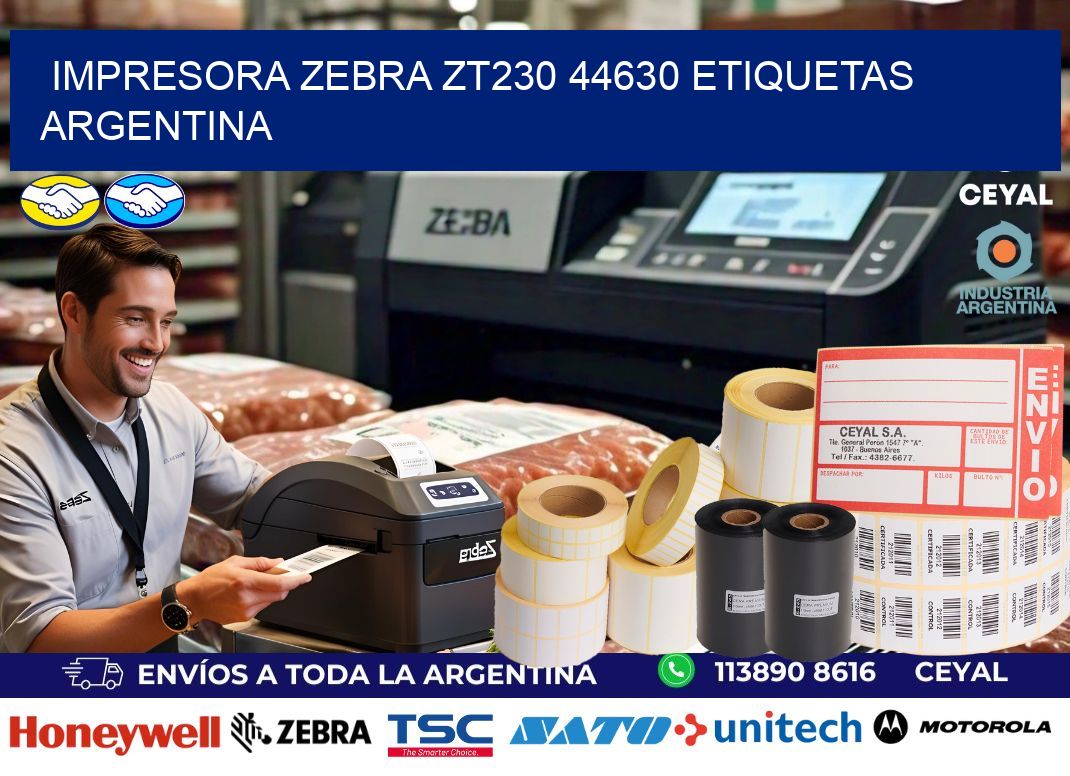 Impresora zebra zt230 44630 etiquetas argentina