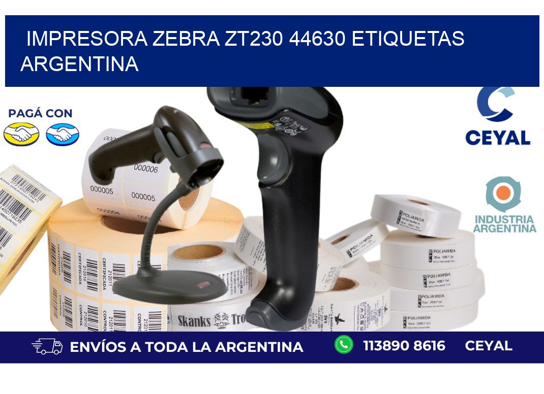 Impresora zebra zt230 44630 etiquetas argentina