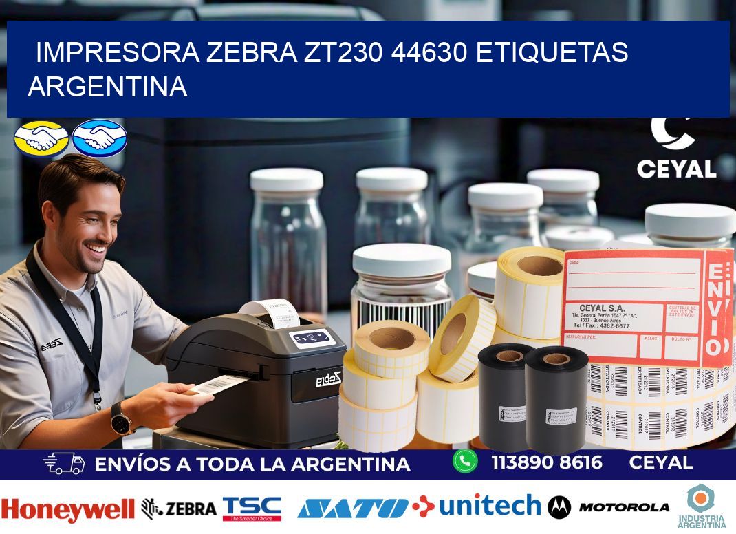 Impresora zebra zt230 44630 etiquetas argentina