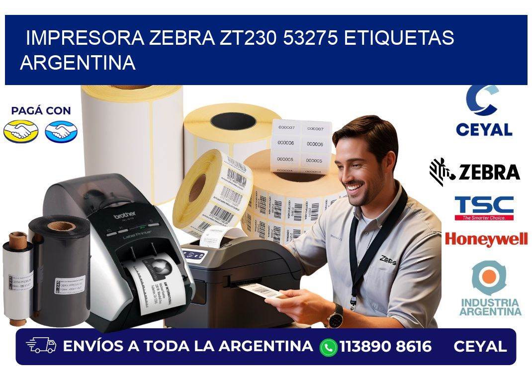 Impresora zebra zt230 53275 etiquetas argentina