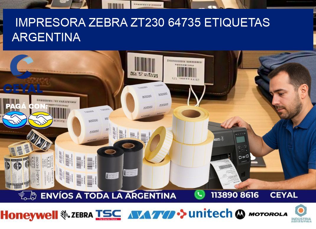 Impresora zebra zt230 64735 etiquetas argentina