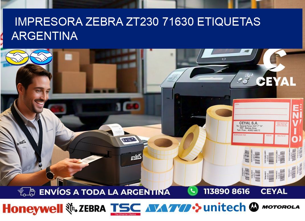 Impresora zebra zt230 71630 etiquetas argentina