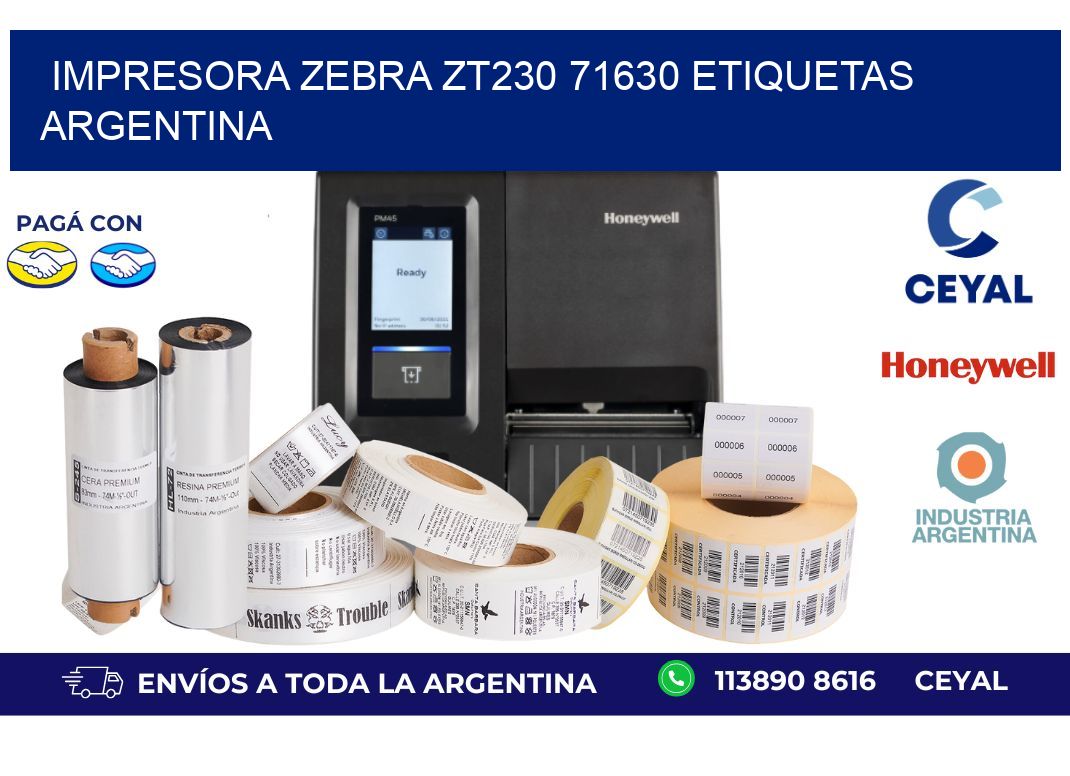 Impresora zebra zt230 71630 etiquetas argentina