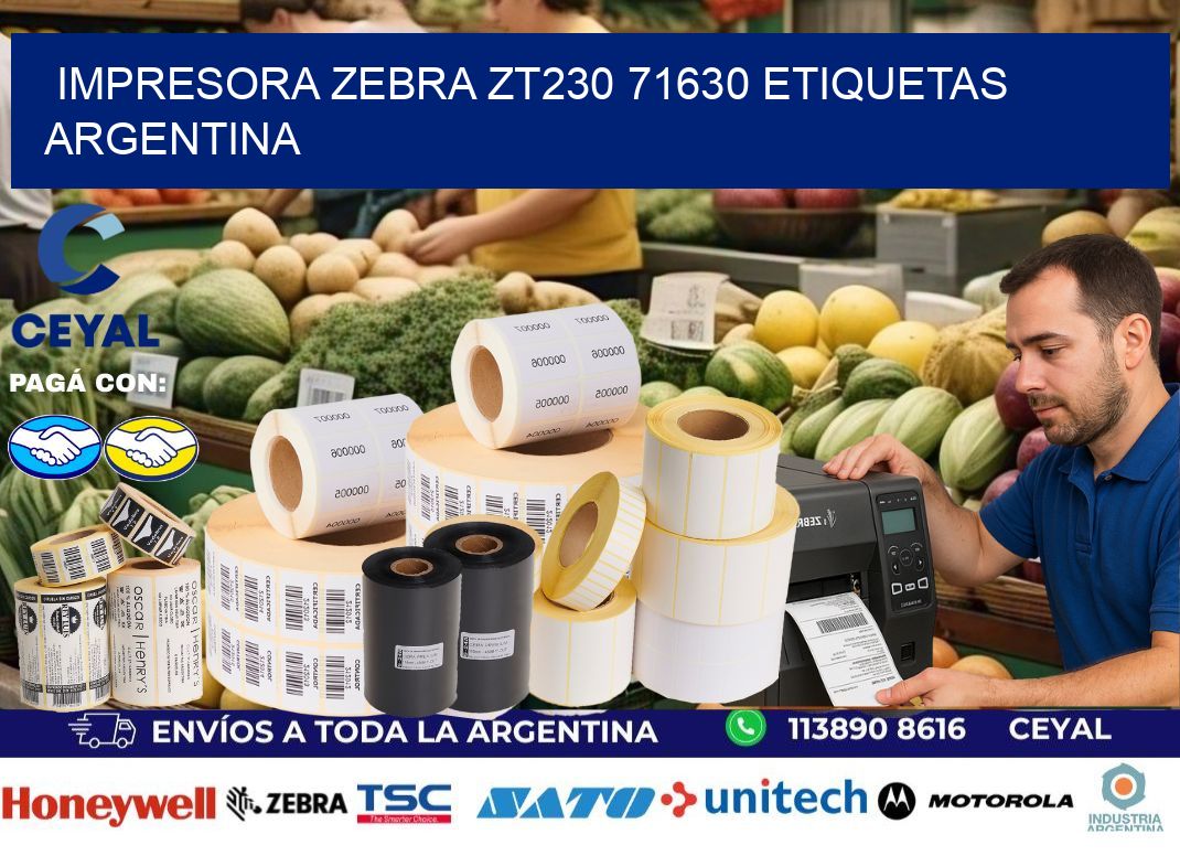 Impresora zebra zt230 71630 etiquetas argentina