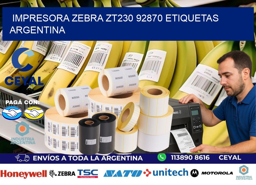 Impresora zebra zt230 92870 etiquetas argentina