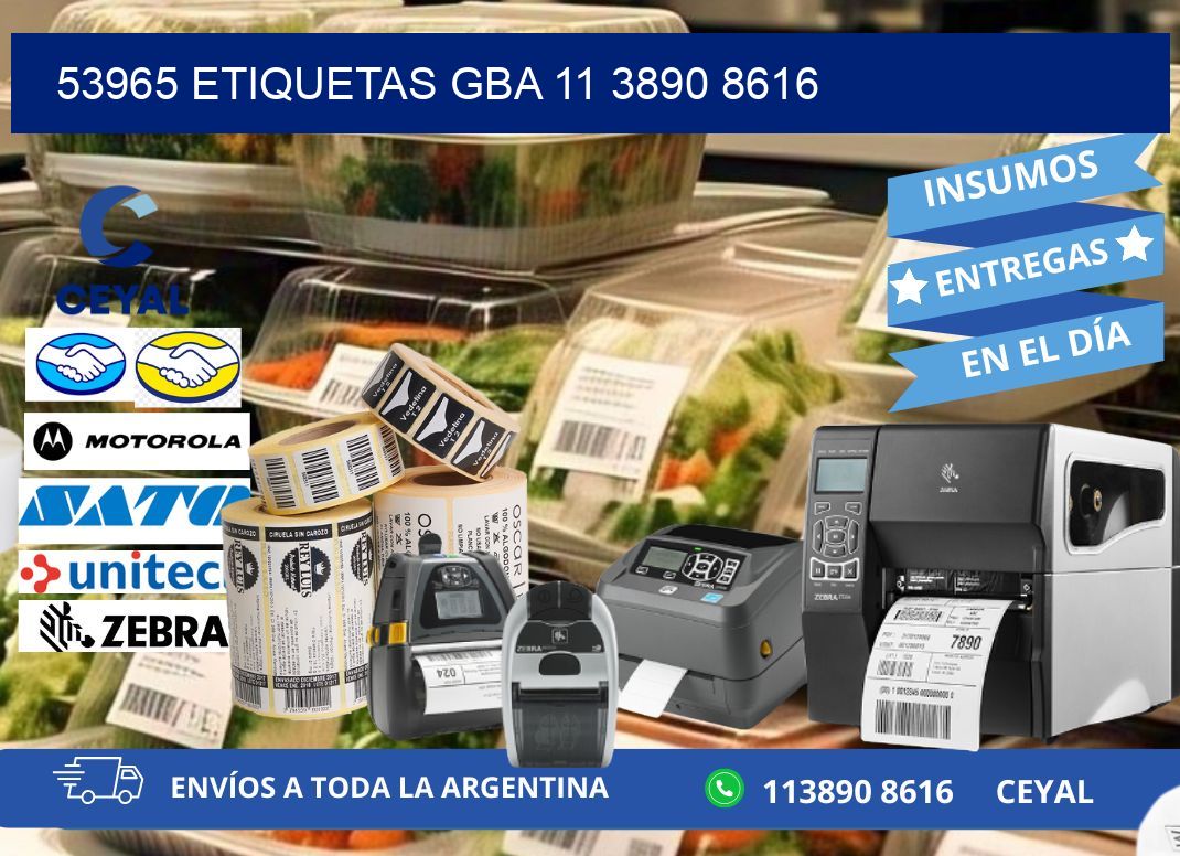 53965 ETIQUETAS GBA 11 3890 8616