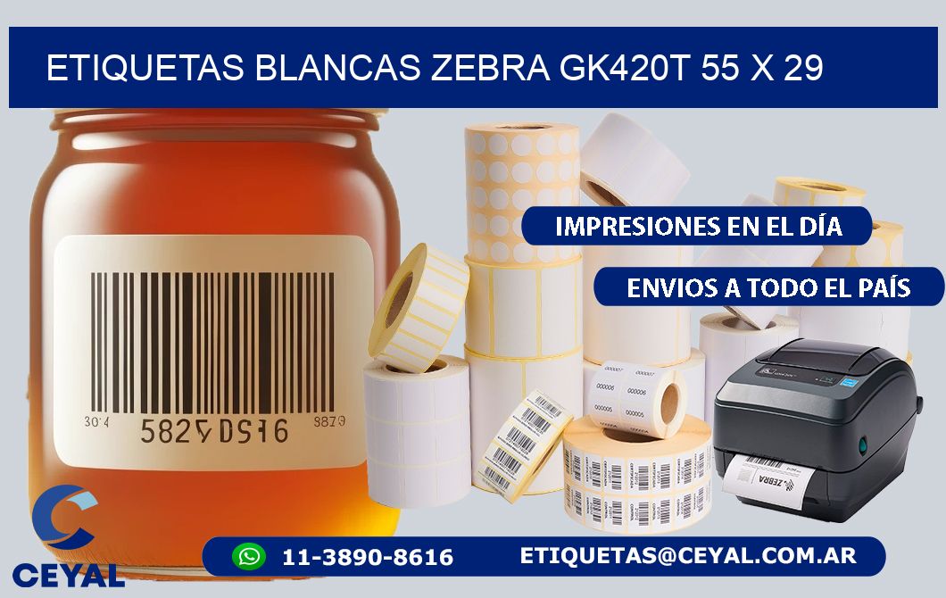 ETIQUETAS BLANCAS ZEBRA GK420T 55 x 29