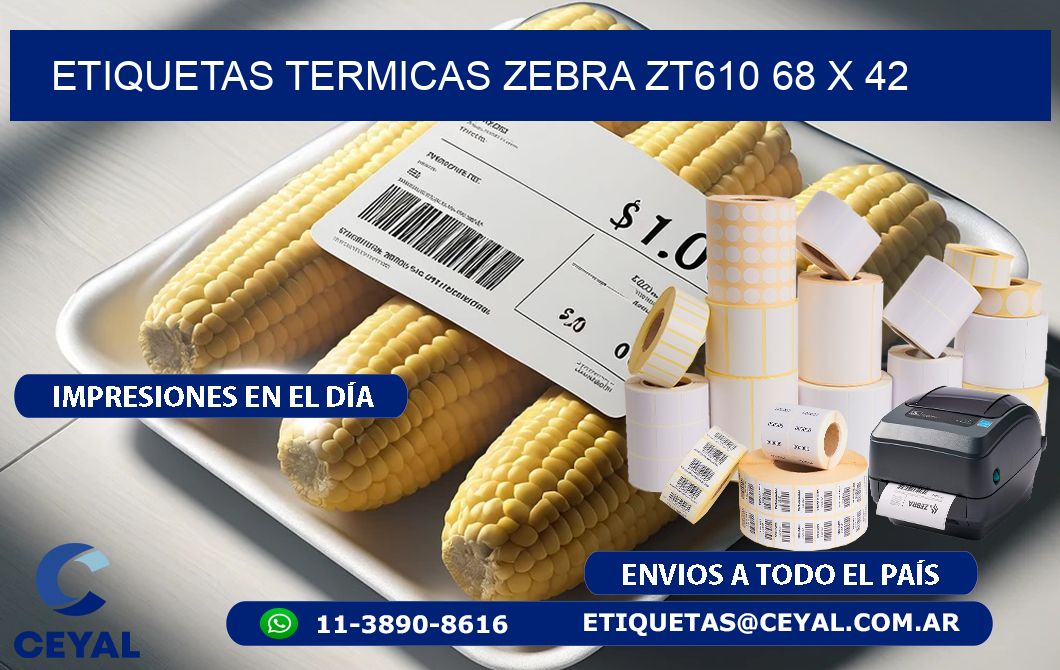ETIQUETAS TERMICAS ZEBRA ZT610 68 x 42