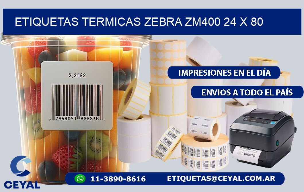 ETIQUETAS TERMICAS ZEBRA ZM400 24 x 80