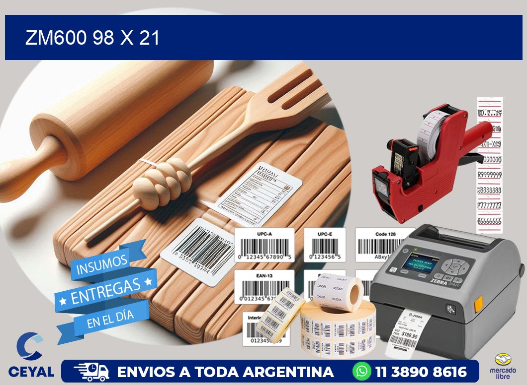 ZM600 98 x 21