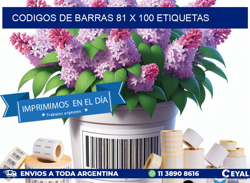 codigos de barras 81 x 100 etiquetas