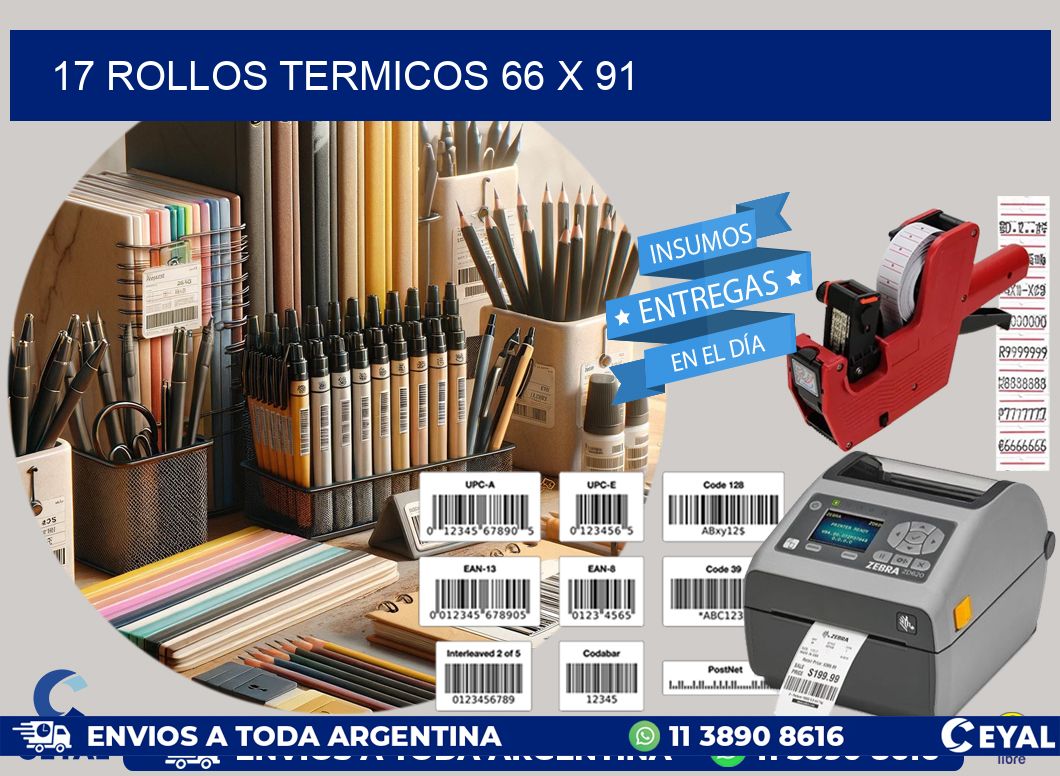 17 ROLLOS TERMICOS 66 x 91