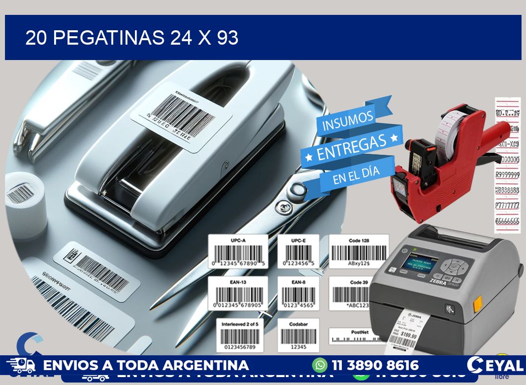 20 PEGATINAS 24 x 93