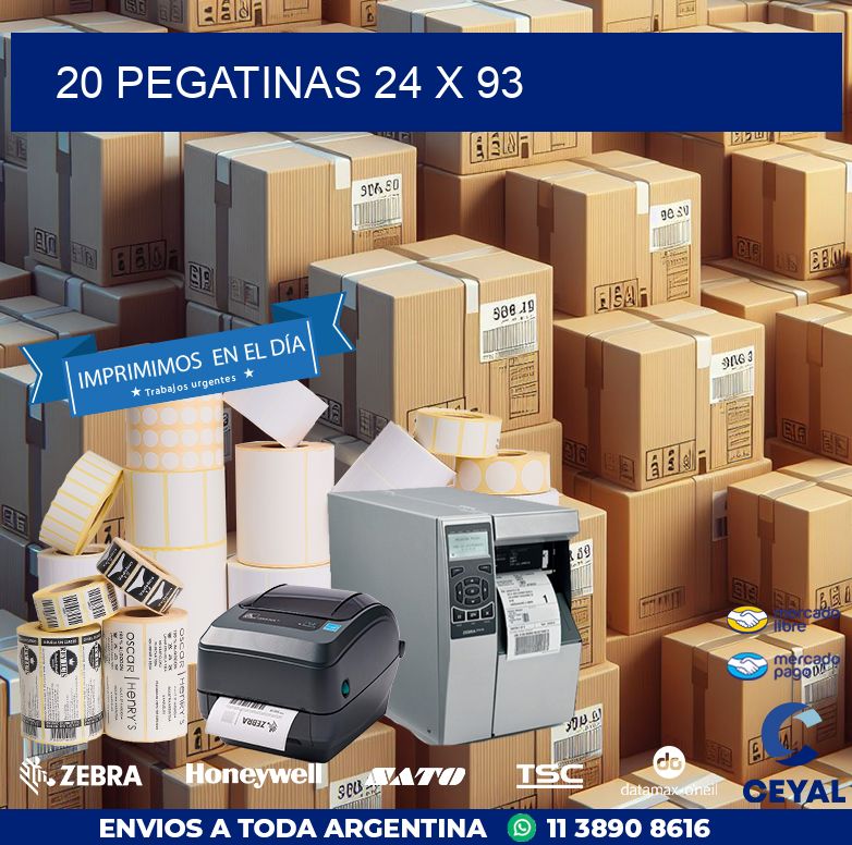 20 PEGATINAS 24 x 93