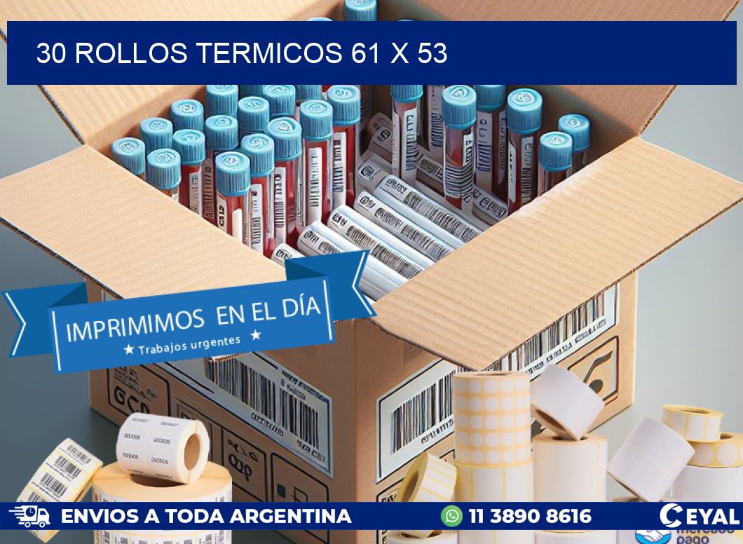 30 ROLLOS TERMICOS 61 x 53