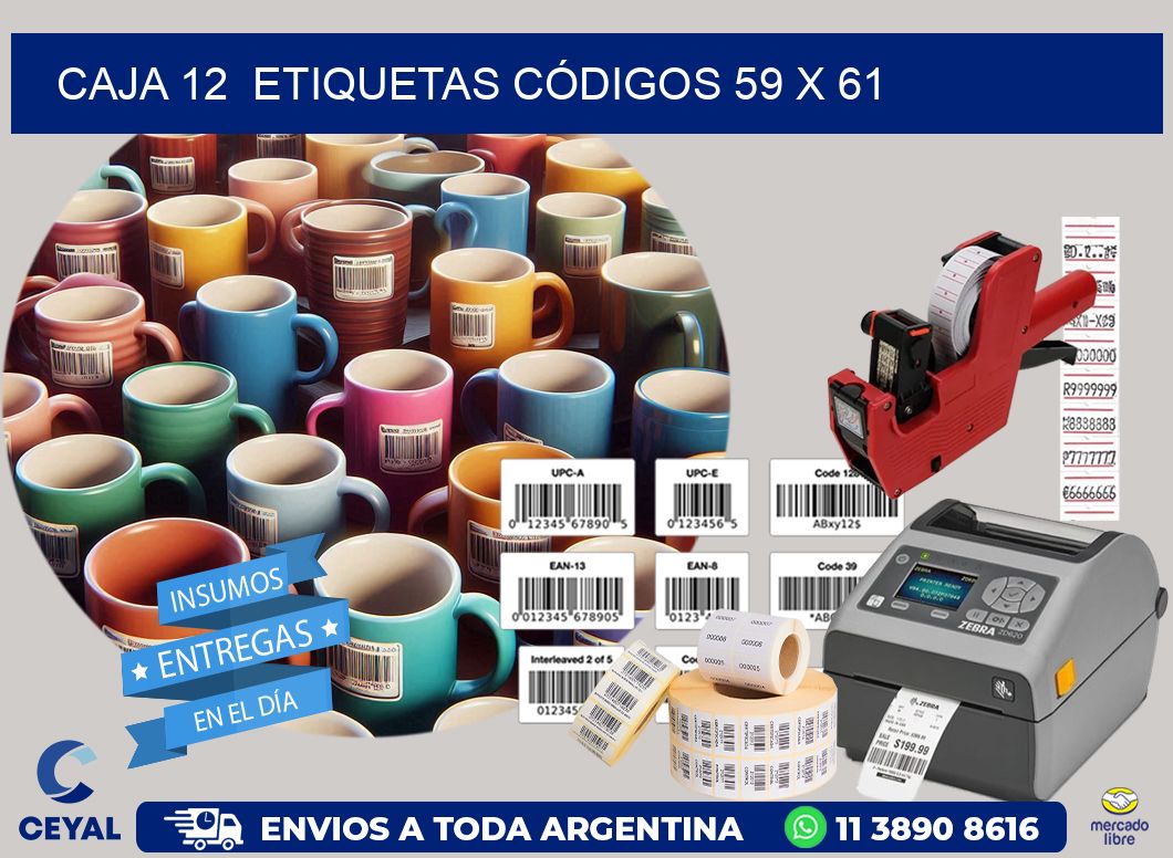 CAJA 12  ETIQUETAS CÓDIGOS 59 x 61