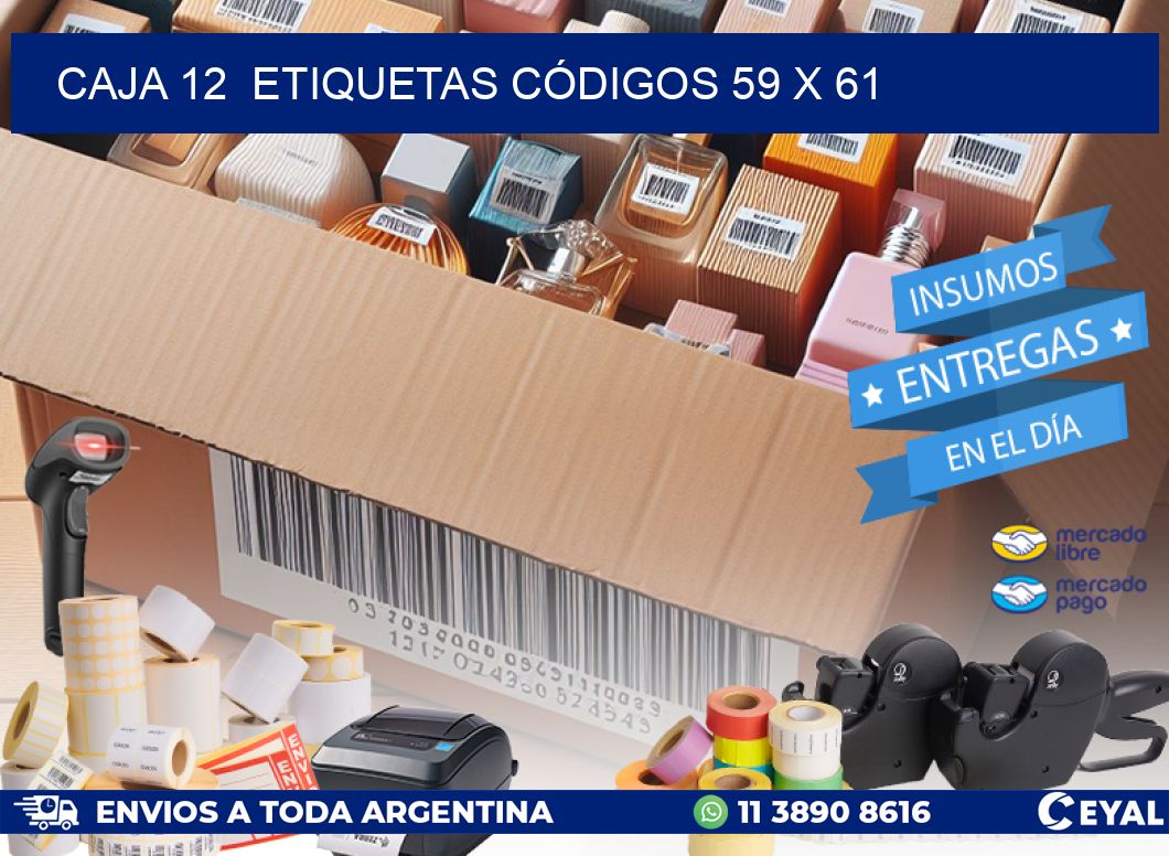 CAJA 12  ETIQUETAS CÓDIGOS 59 x 61