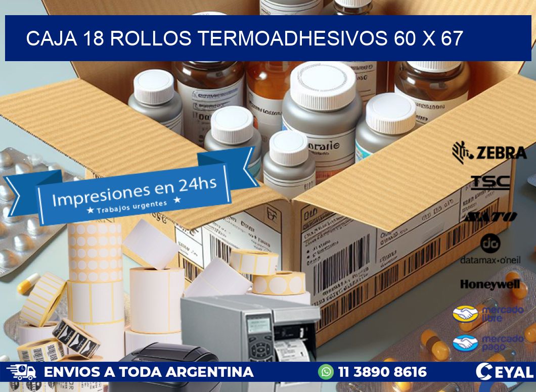 CAJA 18 ROLLOS TERMOADHESIVOS 60 x 67