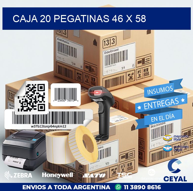 CAJA 20 PEGATINAS 46 x 58