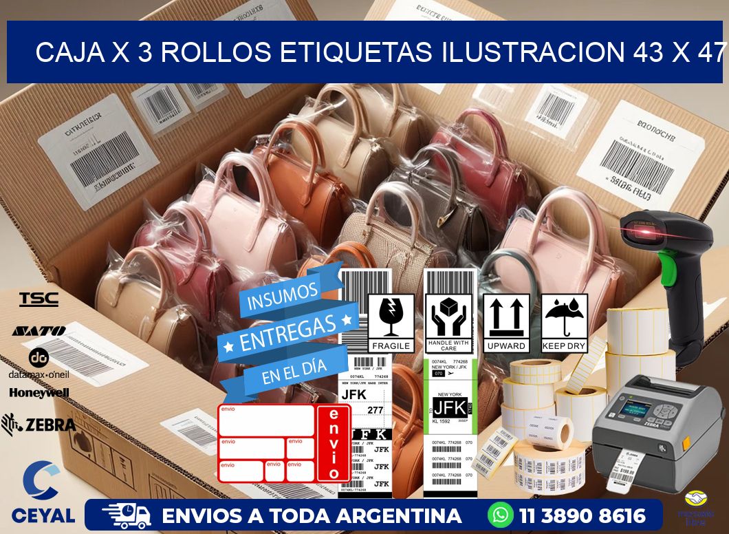 Caja X 3 Rollos Etiquetas Ilustracion 43 x 47