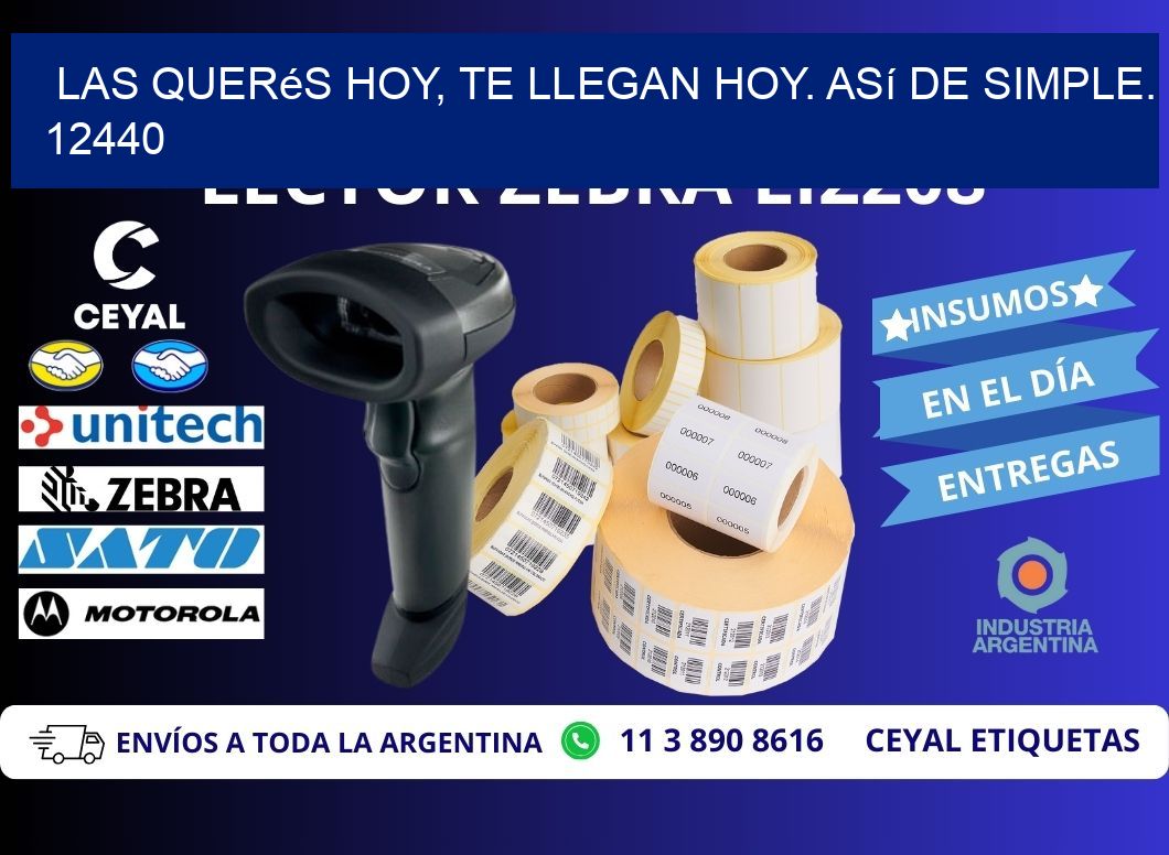 Las Querés Hoy, Te Llegan Hoy. Así de Simple. 12440