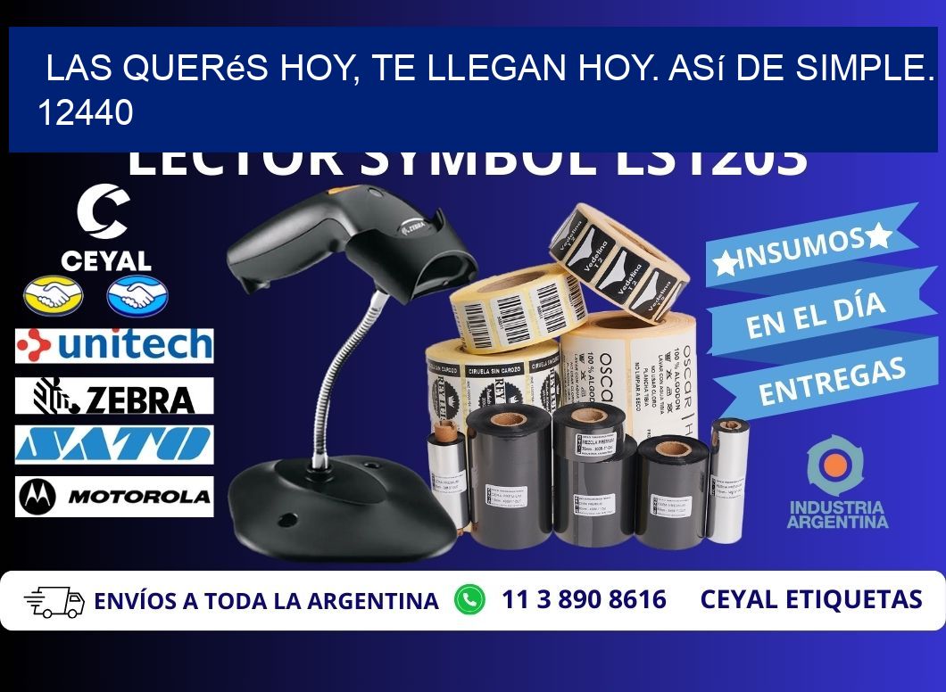 Las Querés Hoy, Te Llegan Hoy. Así de Simple. 12440