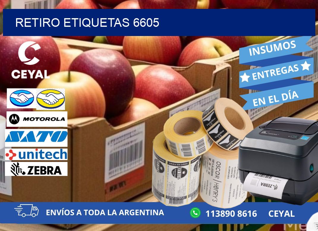 Retiro etiquetas 6605